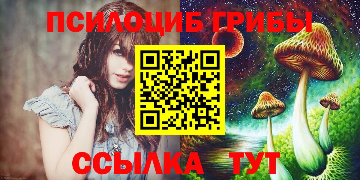 Галлюциногенные грибы прущие грибы Электрогорск