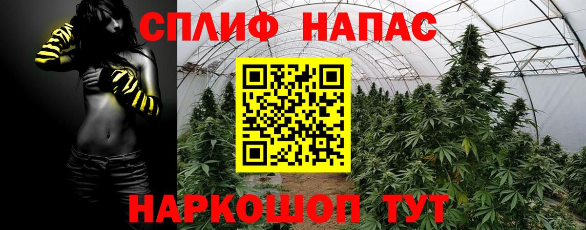 Конопля White Widow Электрогорск