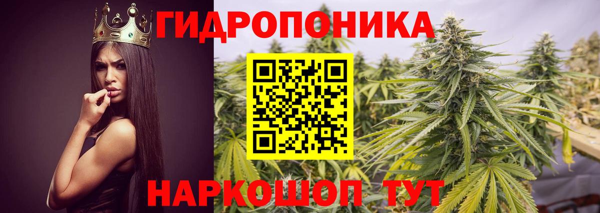 Электрогорск  МАРИХУАНА семена  Вход с VPN  Канабис OG Kush  Марихуана AK-47  Марихуана SATIVA & INDICA 